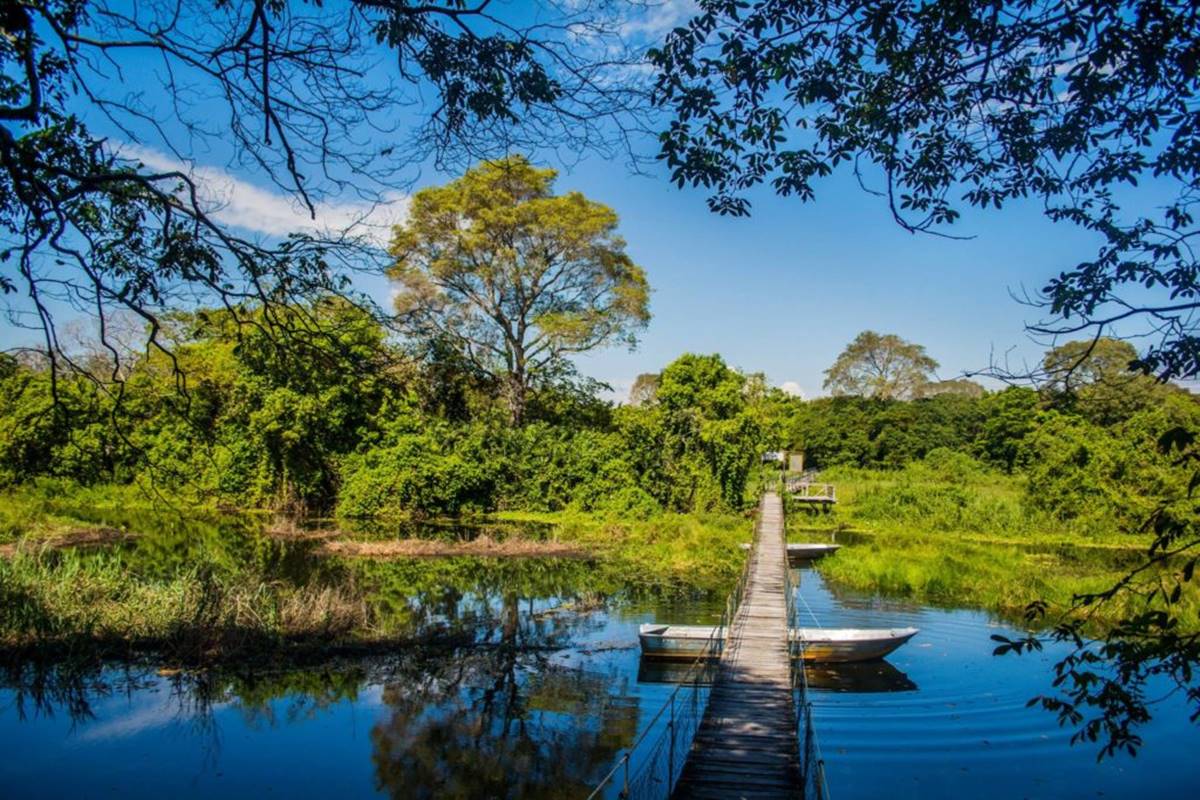 Cultura pantaneira: Conheça as curiosidades e encantos do Pantanal