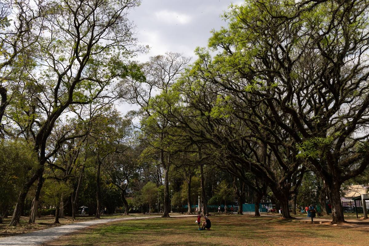 Relaxamento e Bem-Estar no Parque Ibirapuera