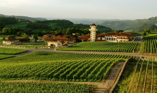 Valley-of-Vineyards-destination-honeymoon-rs-packages