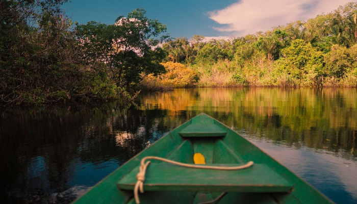 passeio pela Amazônia