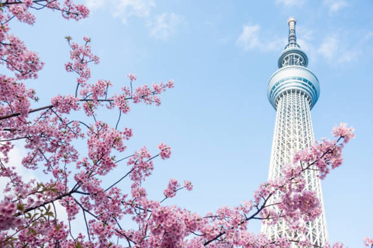 4 pontos turísticos do Japão que você vai amar conhecer